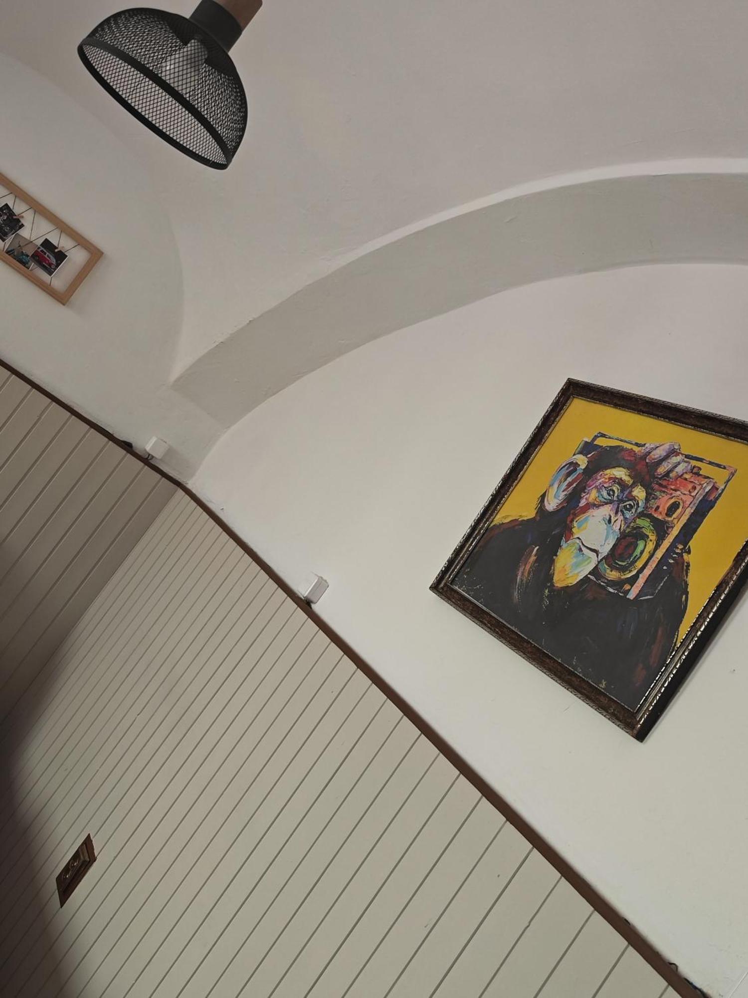 Vintage Room With Garden View Bratislava Exterior foto