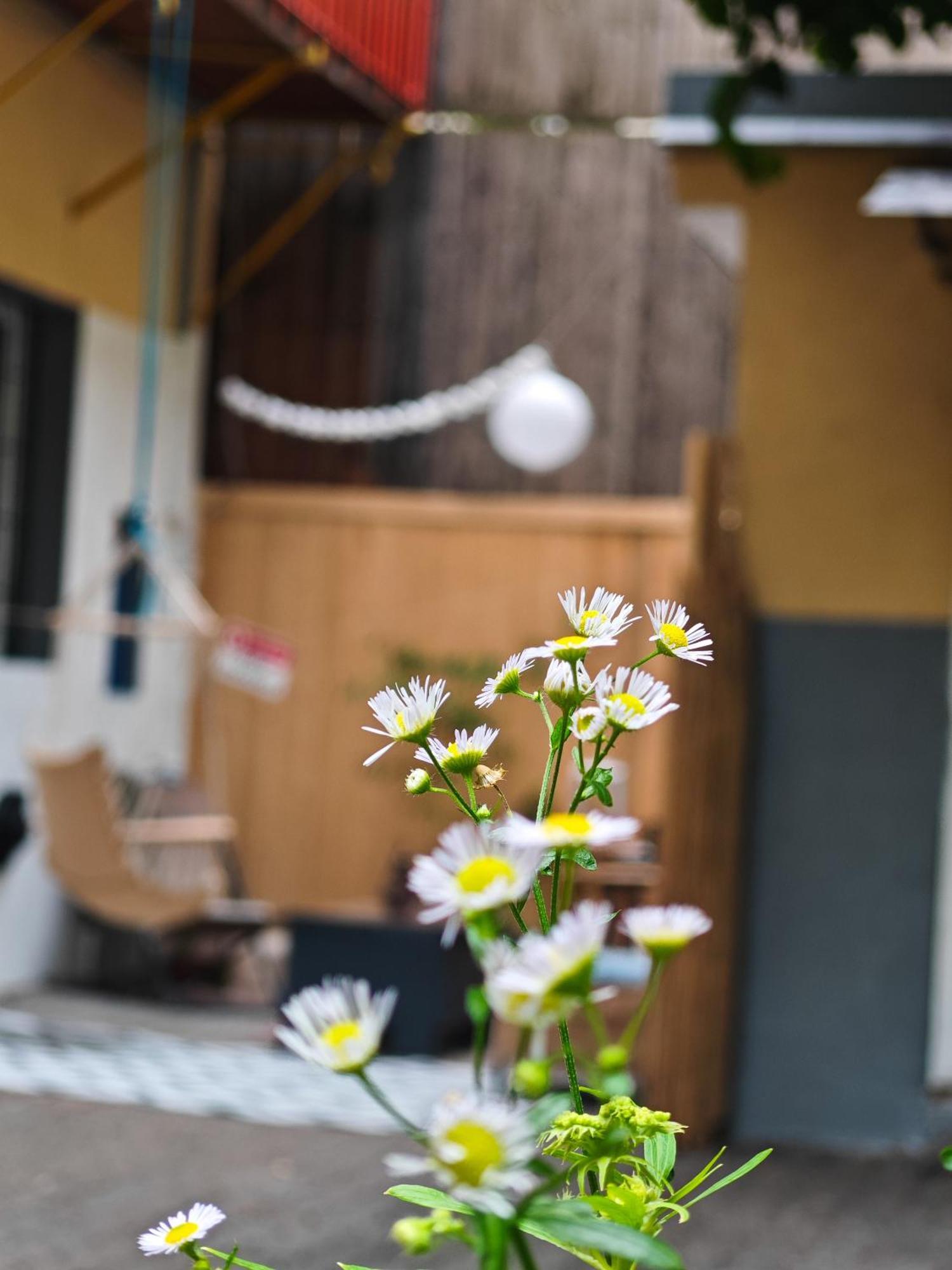 Vintage Room With Garden View Bratislava Exterior foto